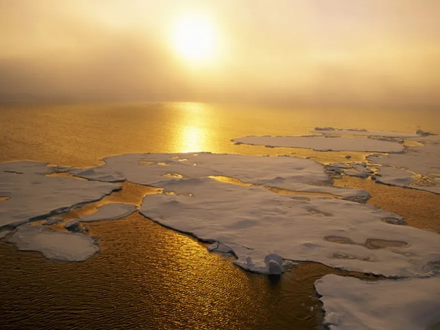 DÍA MUNDIAL DEL MEDIO AMBIENTE