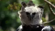 La furia del instinto materno se ha alzado en el aire